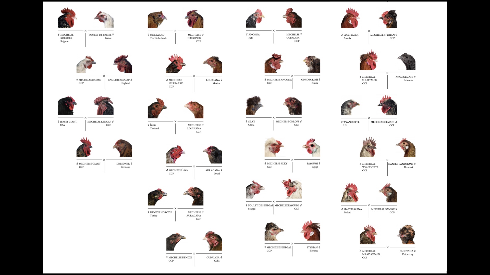 Image of slide number 43