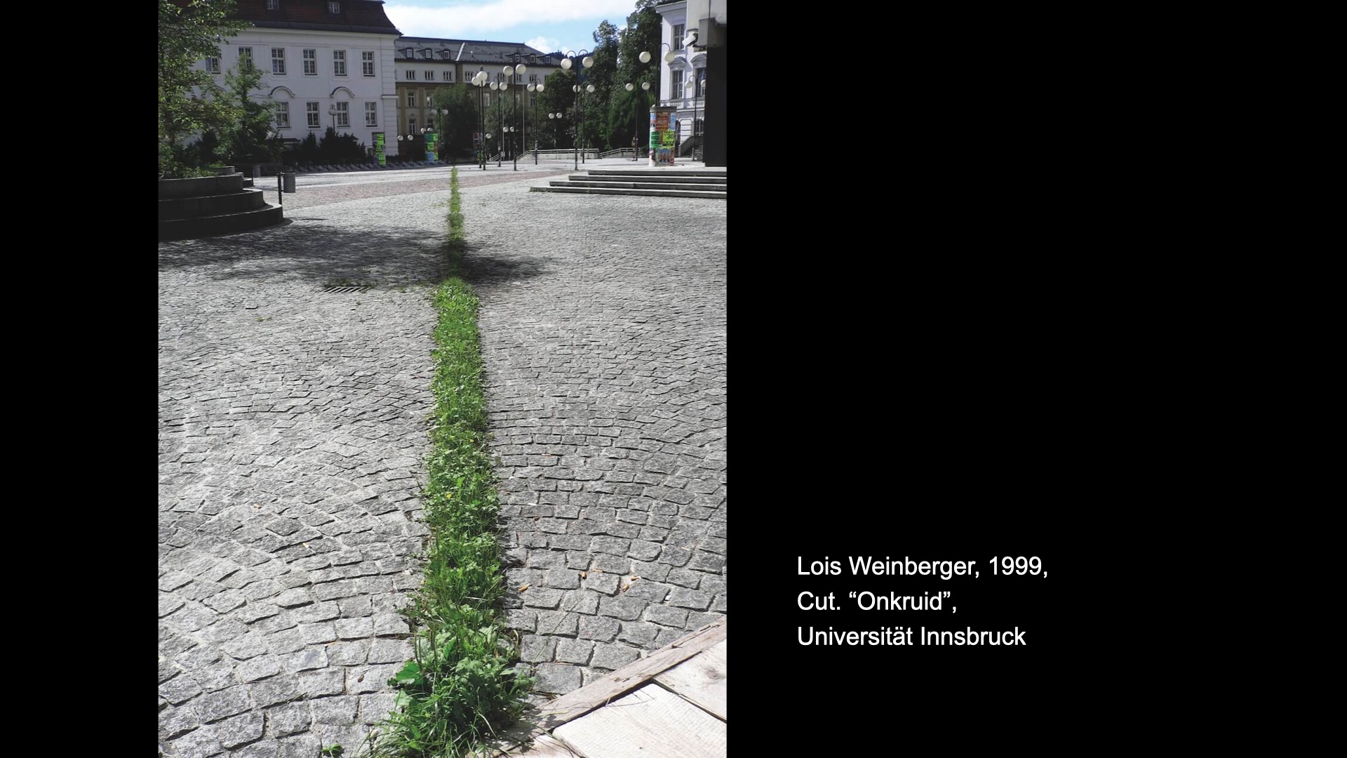 Image of slide number 48